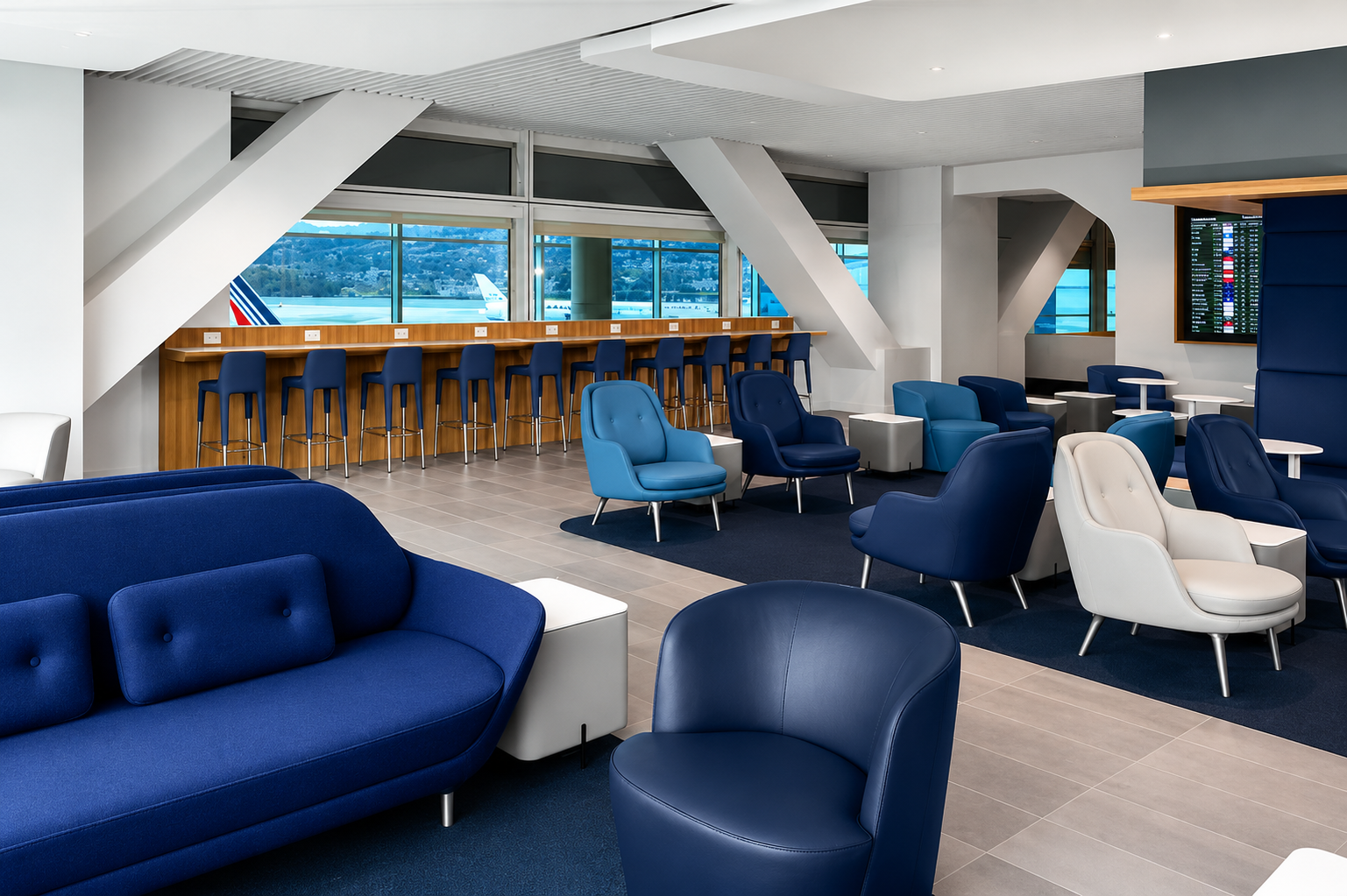 VIP Airport Services​
